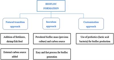 A Solution for Sustainable Utilization of Aquaculture Waste: A Comprehensive Review of Biofloc Technology and Aquamimicry